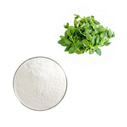 Andrographis Extract Factory - Wholesale Price 10% Andrographolide Powder
