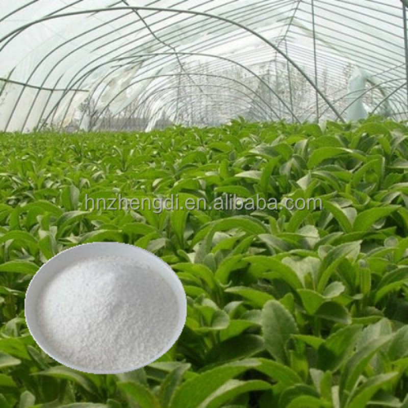 Stevia Extract Manufacturer - Organic Water Soluble Erythritol Mints