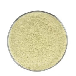 Vegetable Powders Supplier - Garlic Oat Extract Superfood Health Ingredients