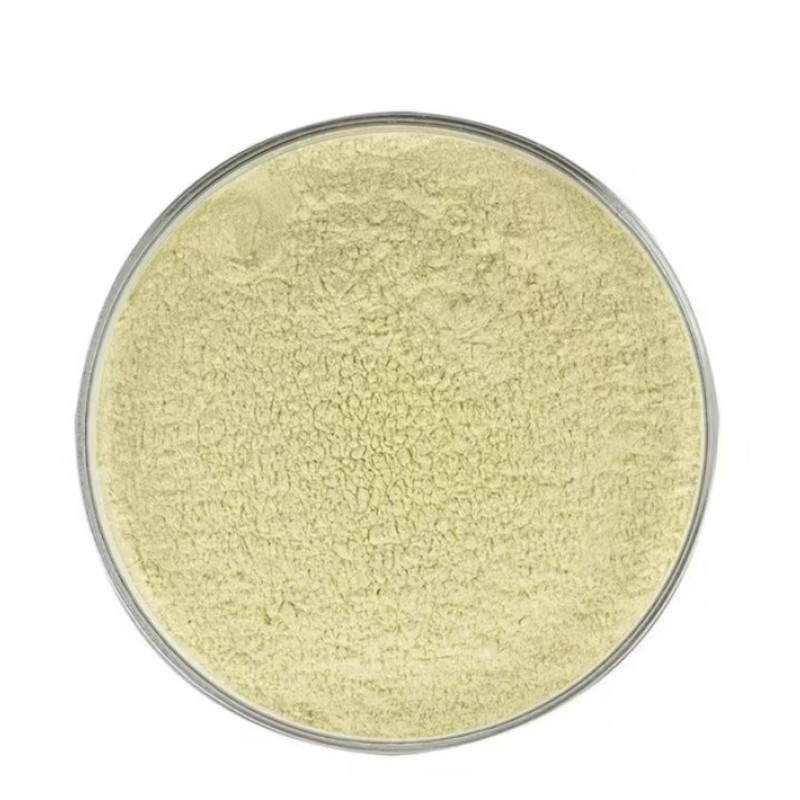 Vegetable Powders Supplier - Garlic Oat Extract Superfood Health Ingredients