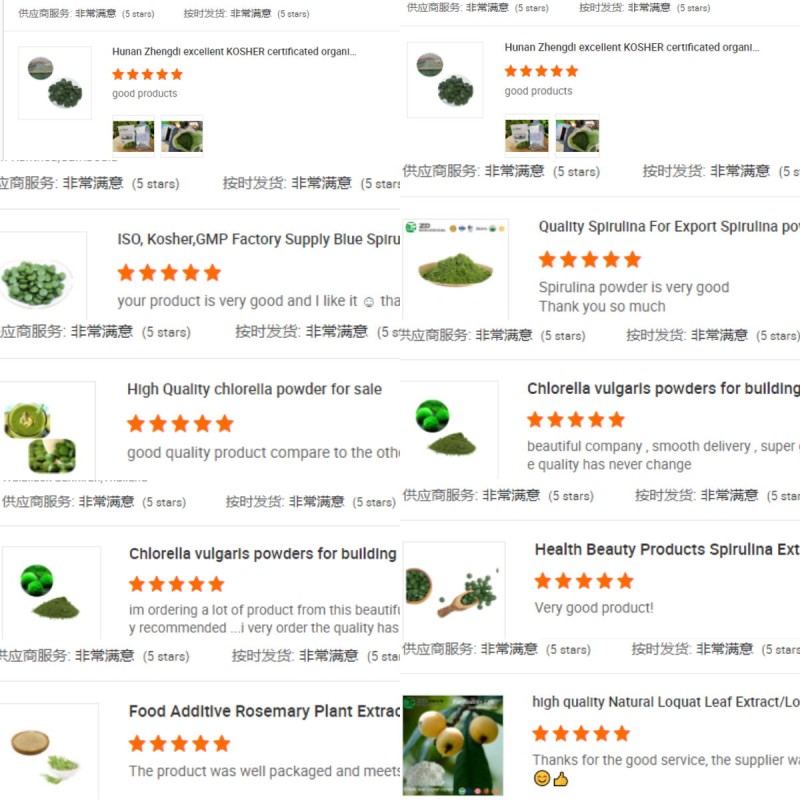 Aronia Berry Extract Manufacturer - 100% Pure Natural Berry Powder