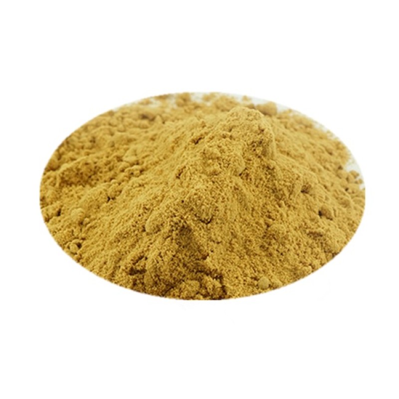 Ginger Extract Powder Manufacturer - Curcumin Turmeric Yellow Multi Specification