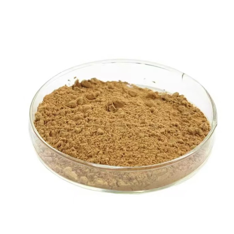 Cordyceps Extract Powder Supplier - Mushroom Extract 50%-60% Free Sample