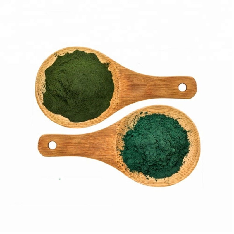 Spirulina Powder Manufacturer - High Quality Wholesale Animal Feed Seaweed