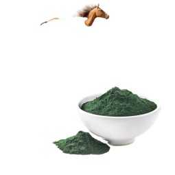 Green Spirulina Powder Factory - Good Quality 100% Pure Natural Powder