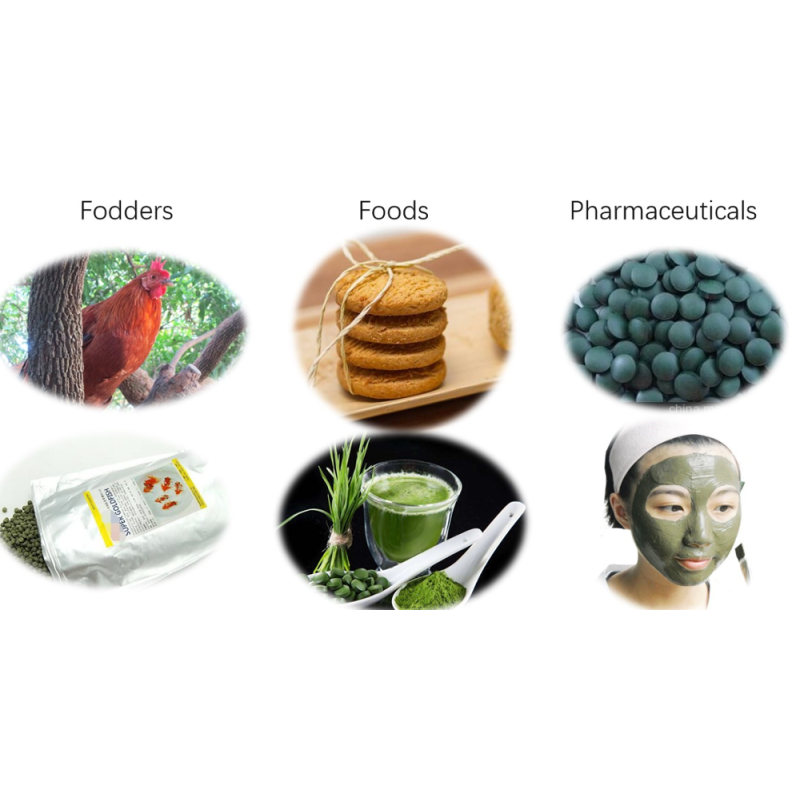 Milk Thistle Extract Factory - Joint Health Supplement 2025 Hot Ingredients