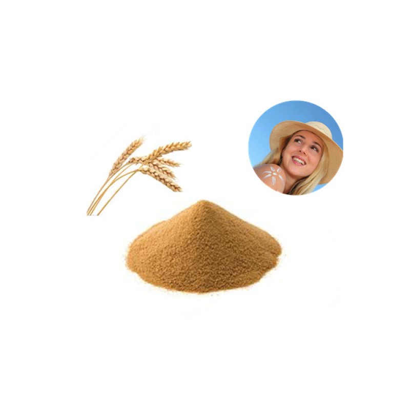 Beta Glucan Powder Supplier - High Quality 20%-80% Oat Bran Extract