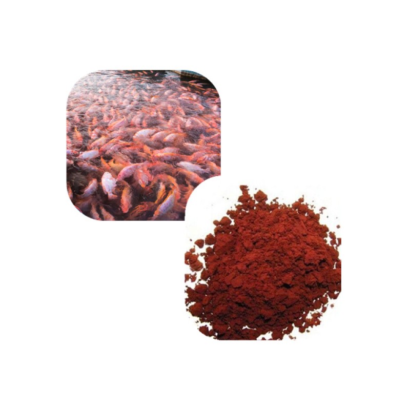 Organic Astaxanthin Powder Factory - Factory Sale 1%-10% for Fish
