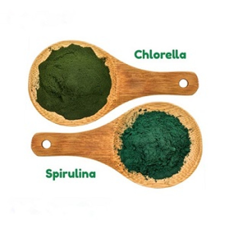 Chlorella Tablet Manufacturer - High Nutrition 250mg-500mg Healthcare Supplement