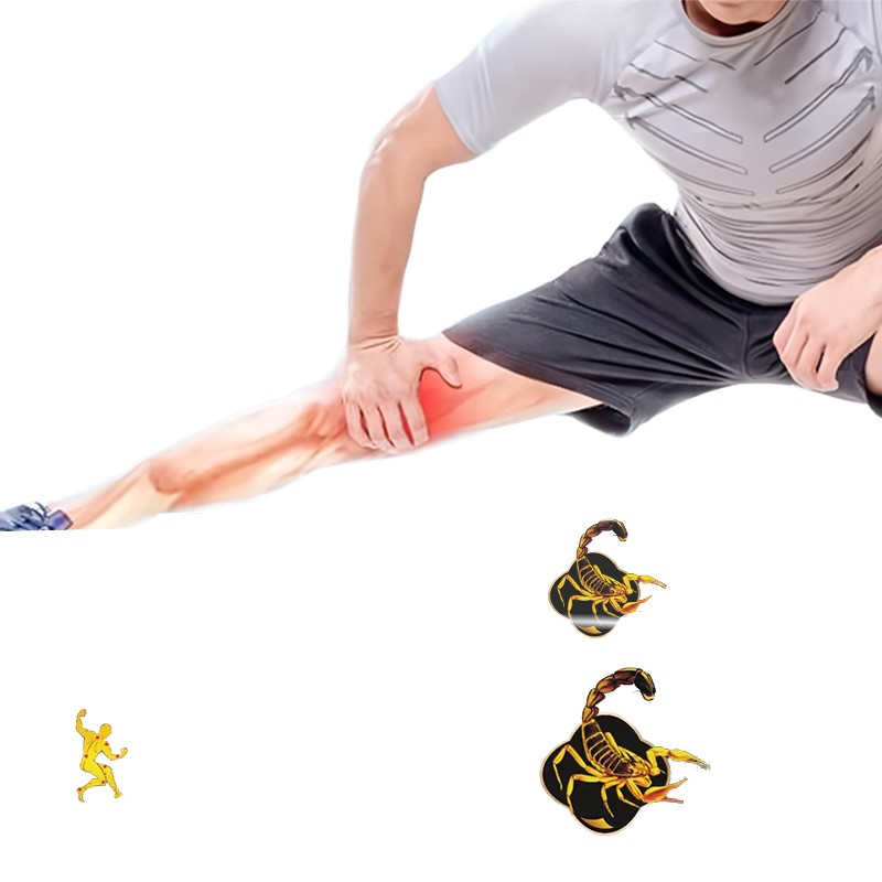 Matcha Powder Manufacturer - Green Tea Extract Joint Bone Health Fast Delivery