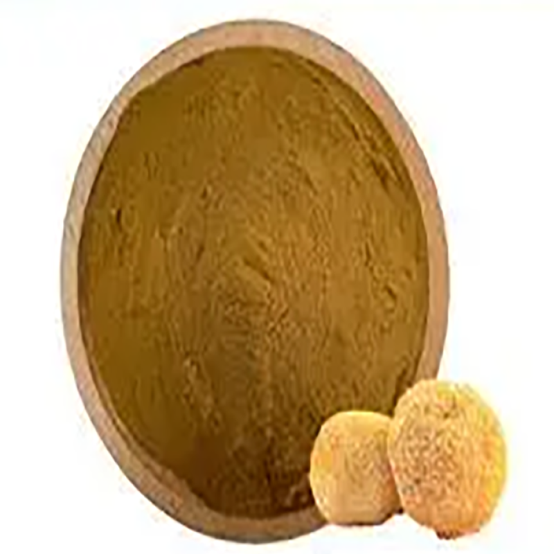 Hericium Erinaceus Powder Factory - Wholesale Extract 20:1-4:1 30%-50%