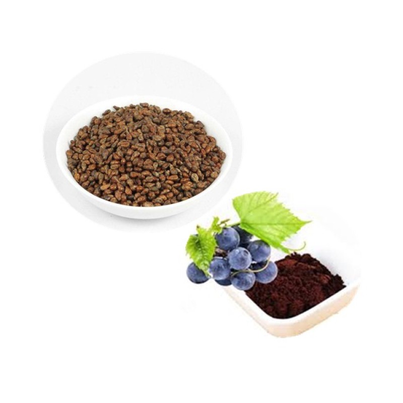 Grape Seed Extract Powder Supplier - Factory Supply 50%-85% Procyanidins