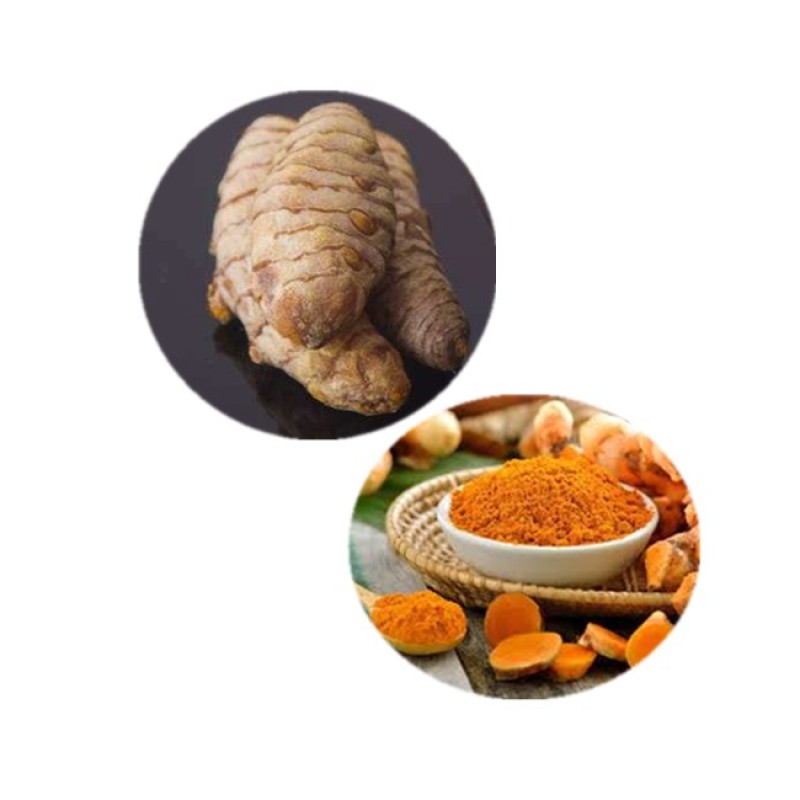 Turmeric Extract Powder Supplier - Hot Sale 5%-50% Curcumin Bulk