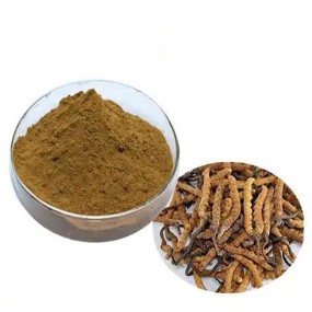 Cordyceps Extract Powder Supplier - Supply Cordycepin 1%-8% Bulk