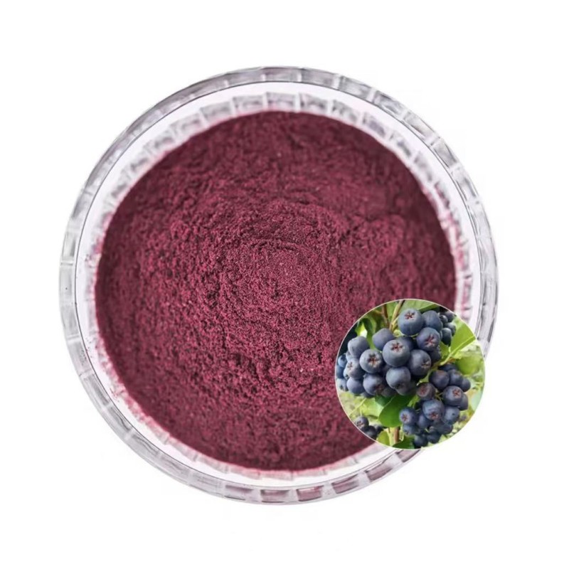 Aronia Berry Extract Manufacturer - 100% Pure Natural Berry Powder