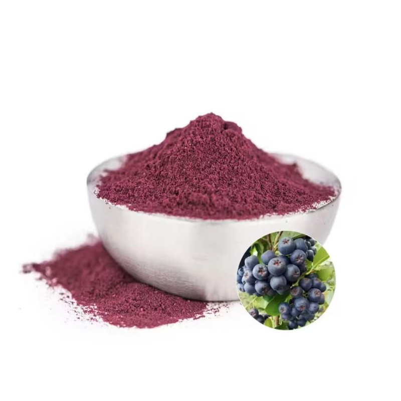 Aronia Berry Extract Manufacturer - 100% Pure Natural Berry Powder