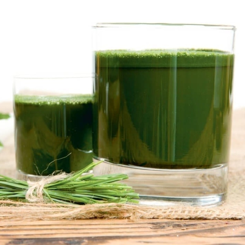 Barley Grass Powder Factory - 100% Water Soluble Organic Juice Powder