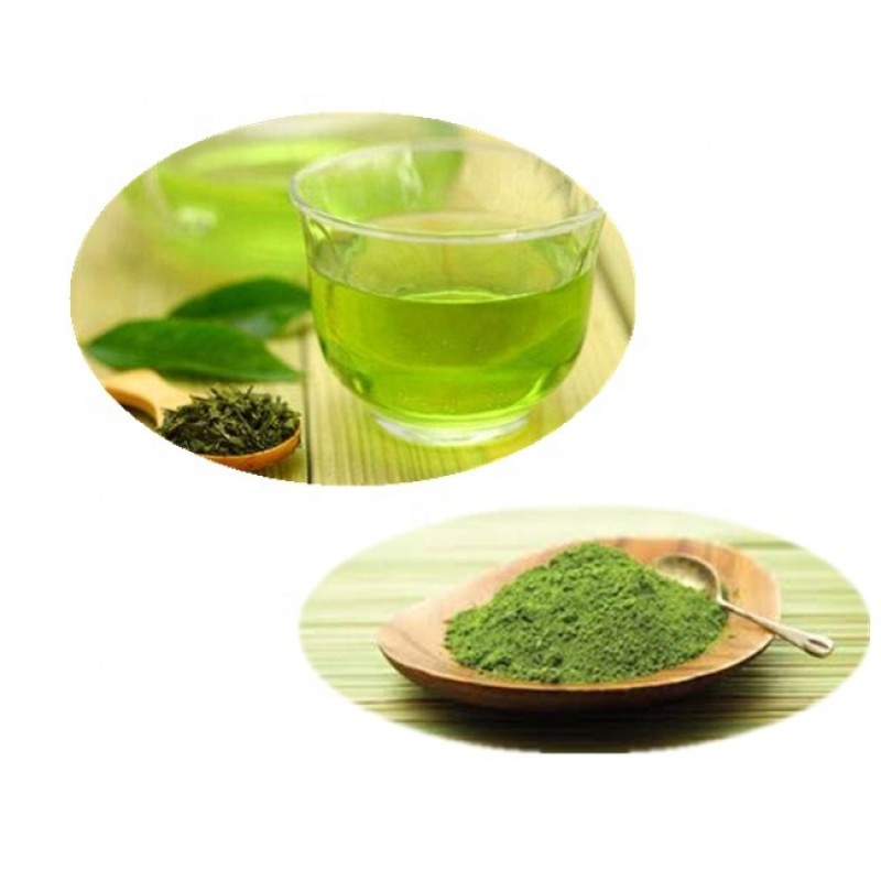 Green Tea Powder Extract Supplier - 100% Pure Natural 98% Polyphenols