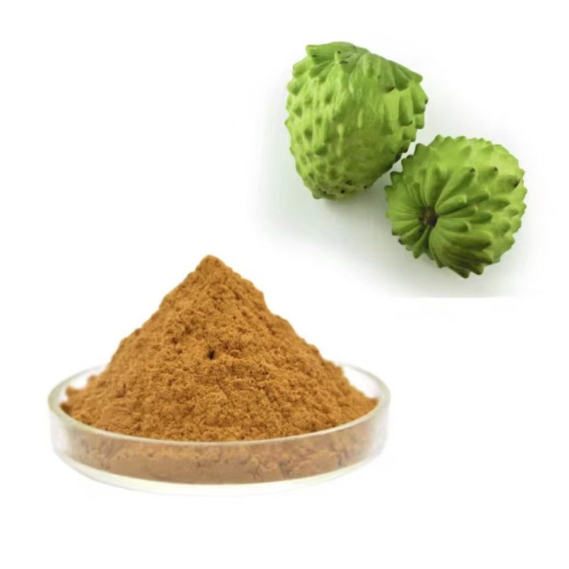 Vegetable Powders Supplier - Garlic Oat Extract Superfood Health Ingredients