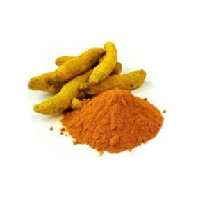 Turmeric Extract Powder Supplier - Hot Sale 5%-50% Curcumin Bulk