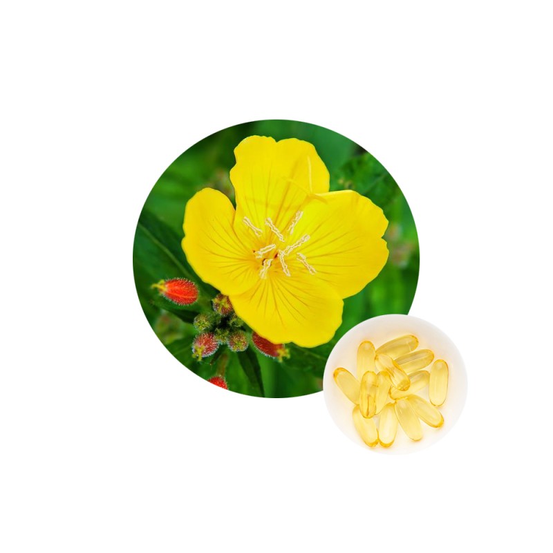 Saffron Extract Powder Supplier - High Quality 0.4% Safranal Powder