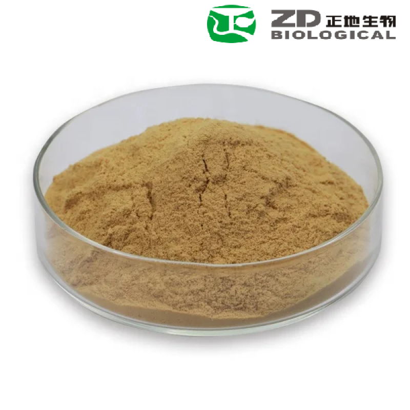 Hericium Erinaceus Extract Manufacturer - Hot Sale 10%-30% Polysaccharide