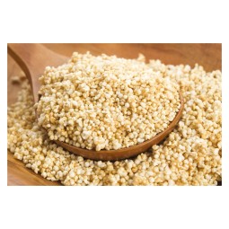Wheat Grains Supplier - Quality Red Wheat Grain for Sale