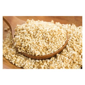 Wheat Grains Supplier - Quality Red Wheat Grain for Sale