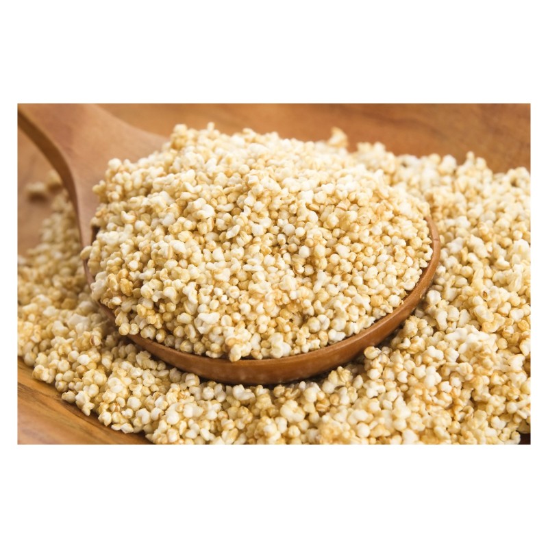 Wheat Grains Supplier - Quality Red Wheat Grain for Sale