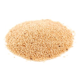 Wheat Grain Factory - Premium Whole Grain Wheat Wholesale