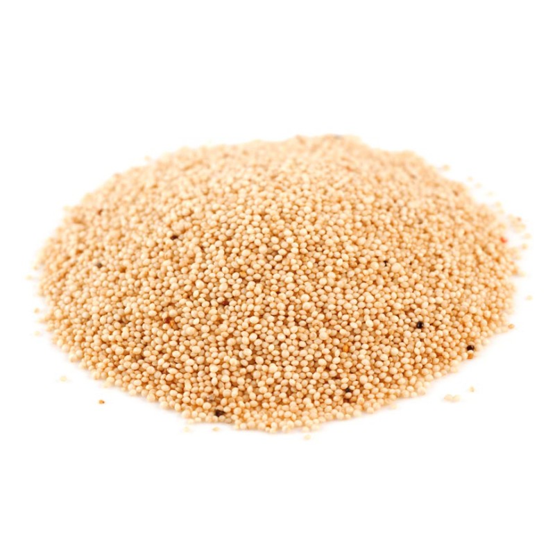 Wheat Grain Factory - Premium Whole Grain Wheat Wholesale