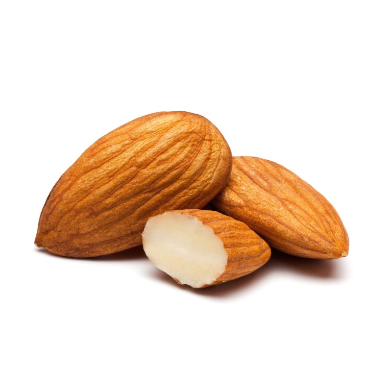 Almond Nuts Supplier - Wholesale Bulk Quantity Cheap Price