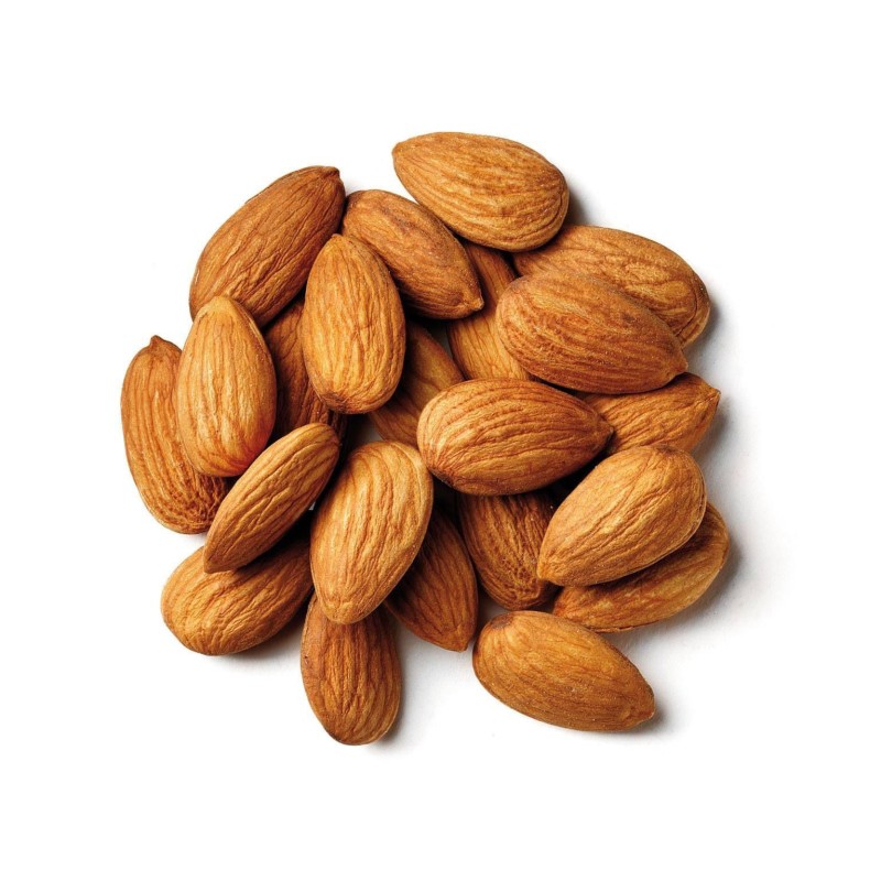 Almond Nuts Supplier - Wholesale Bulk Quantity Cheap Price