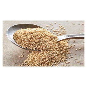 Grain Powder Supplier - Talkan 4 Cereals Flax Pumpkin Amaranth