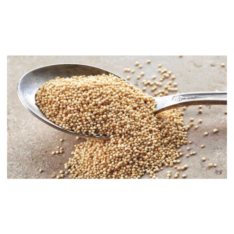 Grain Powder Supplier - Talkan 4 Cereals Flax Pumpkin Amaranth