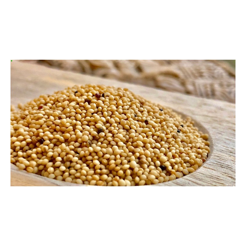 Amaranth Grains Manufacturer - Top Quality 2021 Crop Year