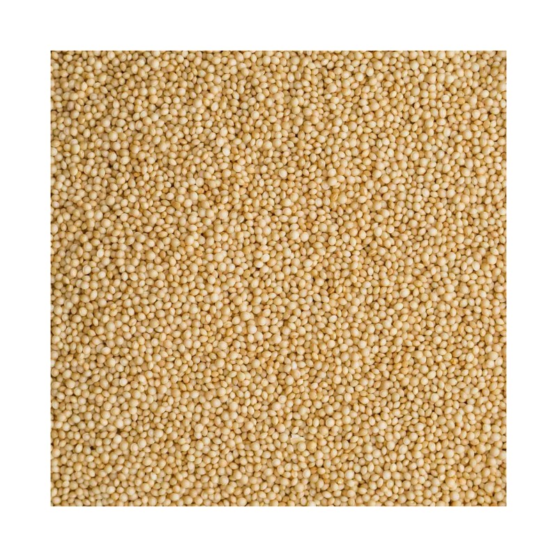 Grain Powder Supplier - Talkan 4 Cereals Flax Pumpkin Amaranth