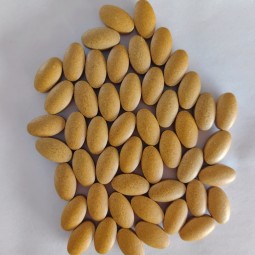 Wholesale Exclusive Patented Dietary Supplement Small Quantities Cold Pressed Empty Intestines FormedStool Capsules No