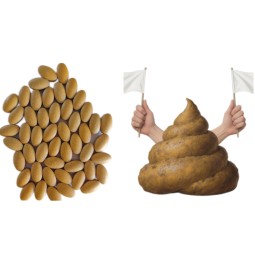 Own Brand Food Tablets for Digestive Health Enhancing Gastrointestinal Peristalsis Natural Defecation Relieving Constipation