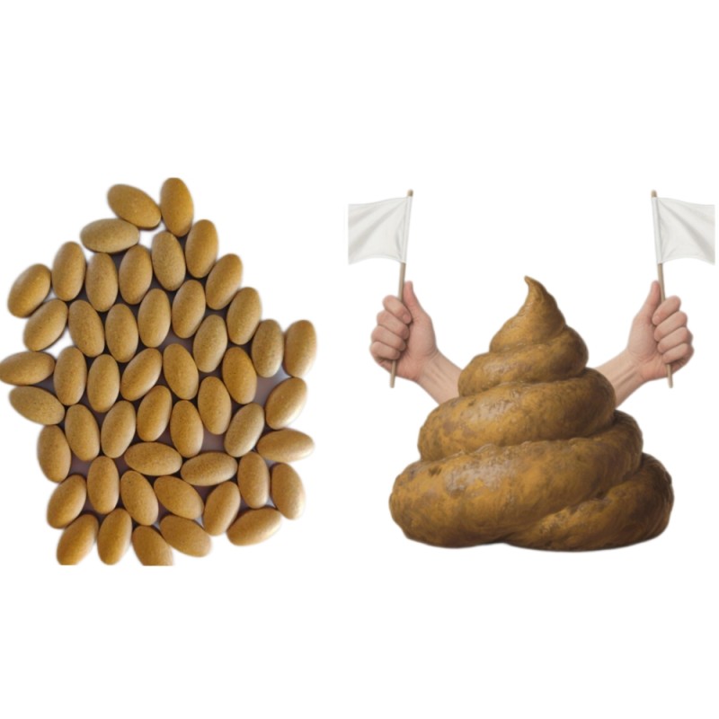 Own Brand Food Tablets for Digestive Health Enhancing Gastrointestinal Peristalsis Natural Defecation Relieving Constipation