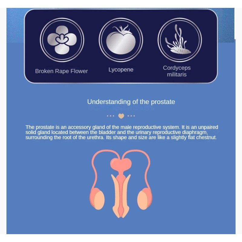 Prostate Reproductive System Vital Dysuria Urethral Tablets Herbal Extract Bottle Scrotal Moisture Dysfunction Enhancer for