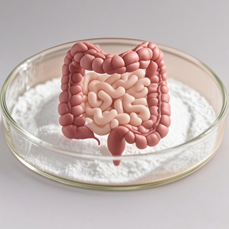 Wholesale Owned Brand Probiotic Powder Supplements for Pregnant Lactating Women Constipation Intestine Moistening Herbal Extract