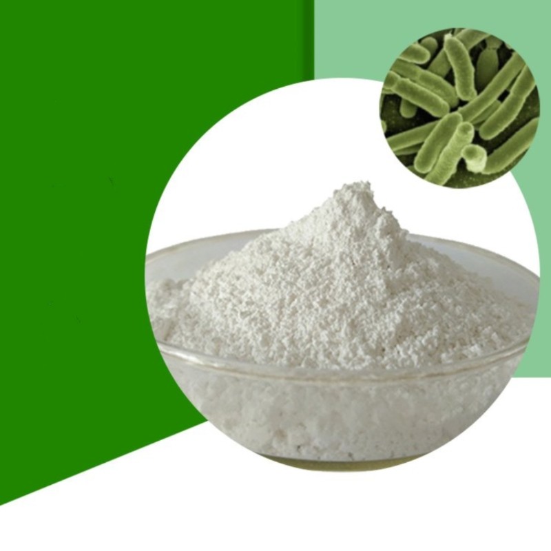 Active Emodin Probiotics Tablets Gut Health Deep Cleaning Enhancement Vitality Establishment Intestinal Microbiota Plant Extract