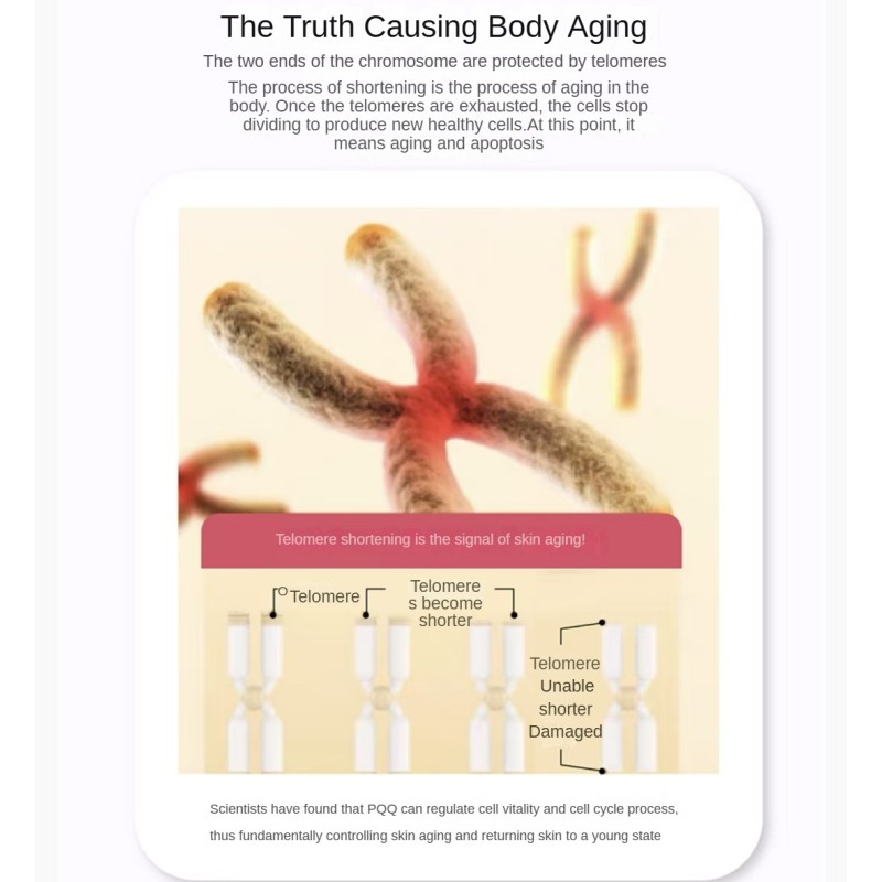 OEMOwnBrand High Purity PQQ Herbal Extract Patent Antioxidant Defense Dietary Supplements Tablet Boost Cognitive Function Deep