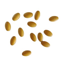 OEM Wholesale Herbal Extract Capsule Constipation Relief Comfortable No Pain No Diarrhea Regular Stool Formation for Gut Health