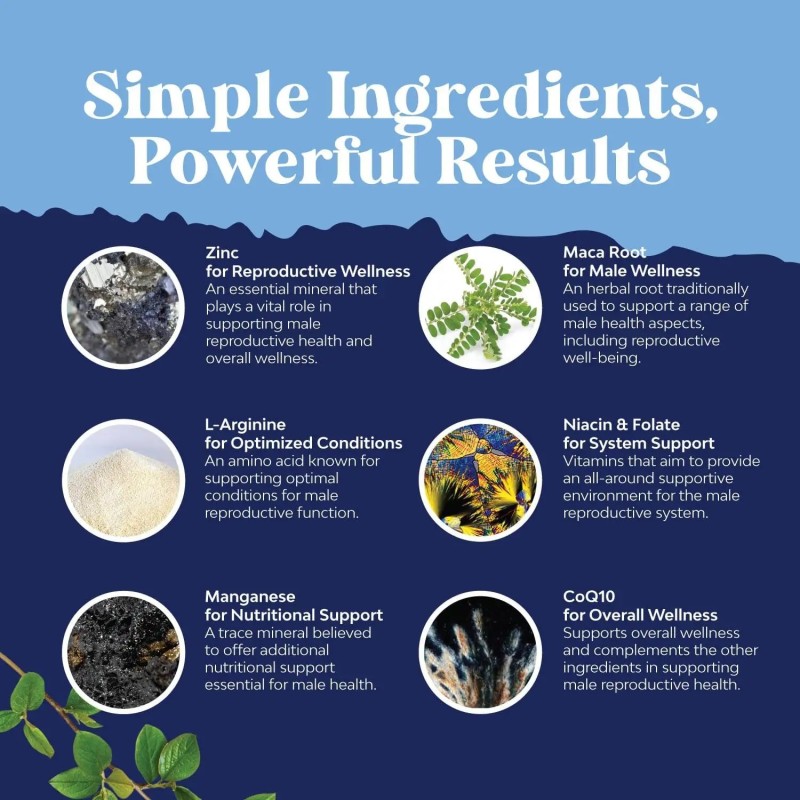 Menopause Capsule Manufacturer - OEM Angelica Root Melissa Extract Vitamins