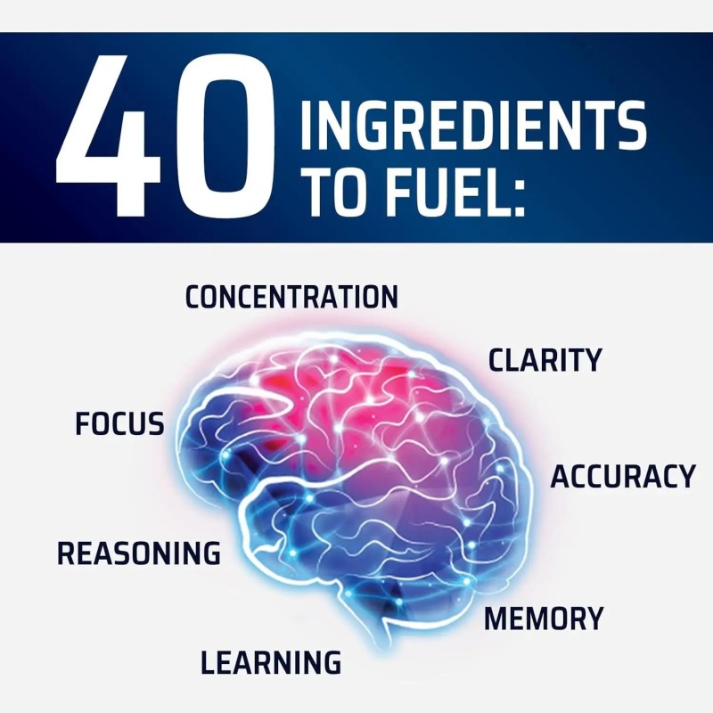 Adult Nootropic Capsules Factory - Cognitive Improvement Mental Clarity Herbal