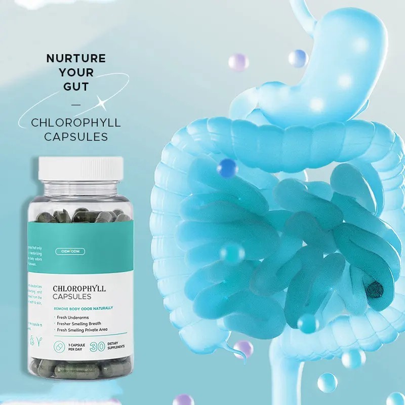 Chlorophyllin Capsules Factory - Body Odor Control Herbal Supplements Fresh