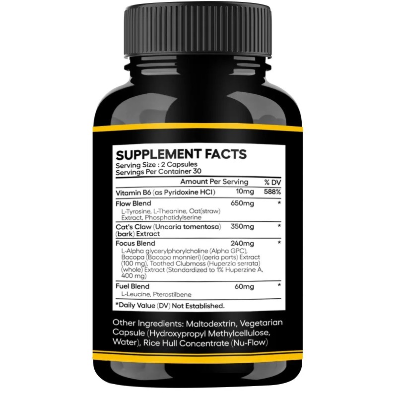 Nootropic Brain Supplement Supplier - OEM Custom Label Premium Memory Focus