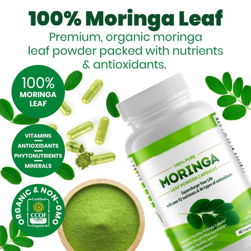 Moringa Capsules Supplier - Wholesale Joint Immunity Metabolism Prostate